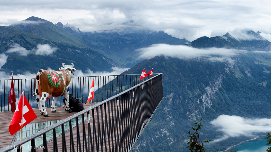 mountains
 cow
 viewing platform
 flags
 Switzerland
 from above

