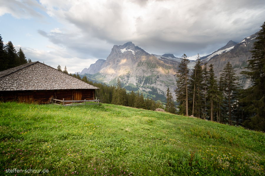 mountains
 house
 nature
 Switzerland
 forest
 meadow
 clouds
