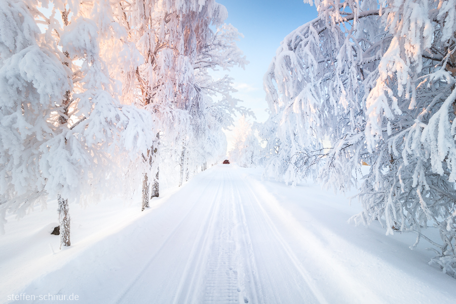 snow
 Lapland
 Finland
 Trees
 street
