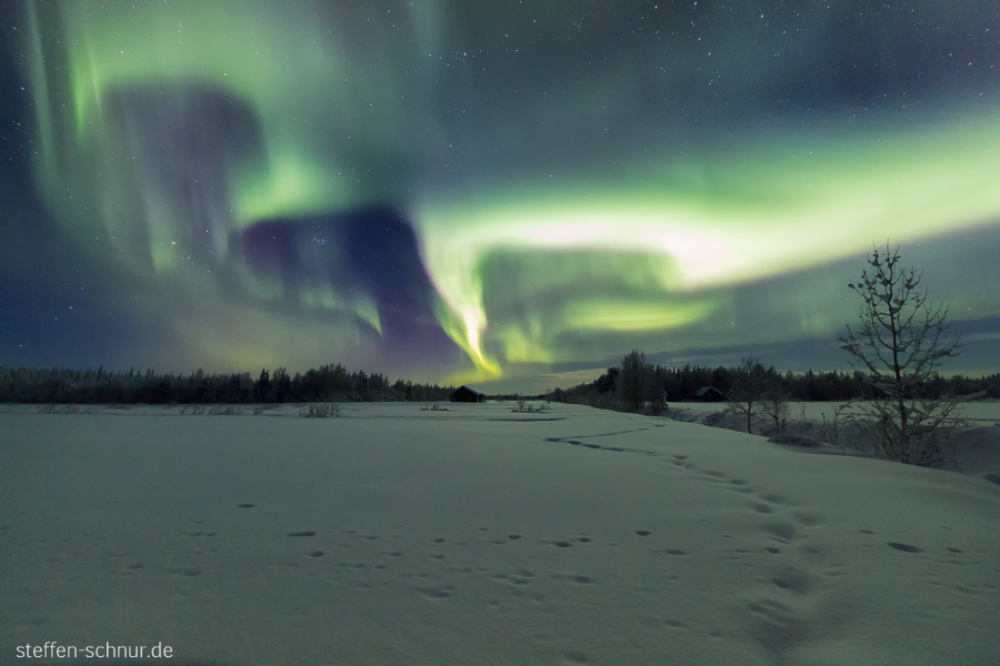 aurora borealis
 northern lights
 snow
 Lapland
 Finland
 night
 winter
