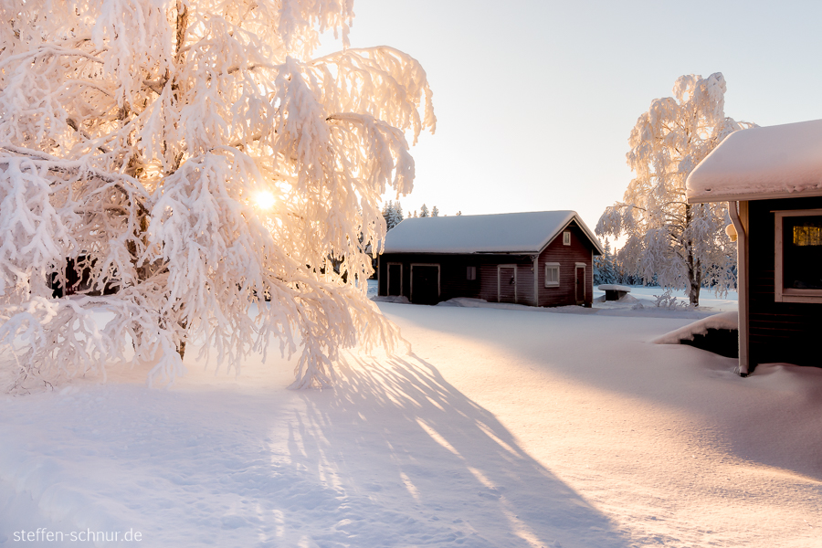 snow
 Lapland
 Finland
 tree
 houses
 sunlight
