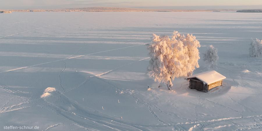 Lapland
 Finland
 tree
 cottage
 winter
