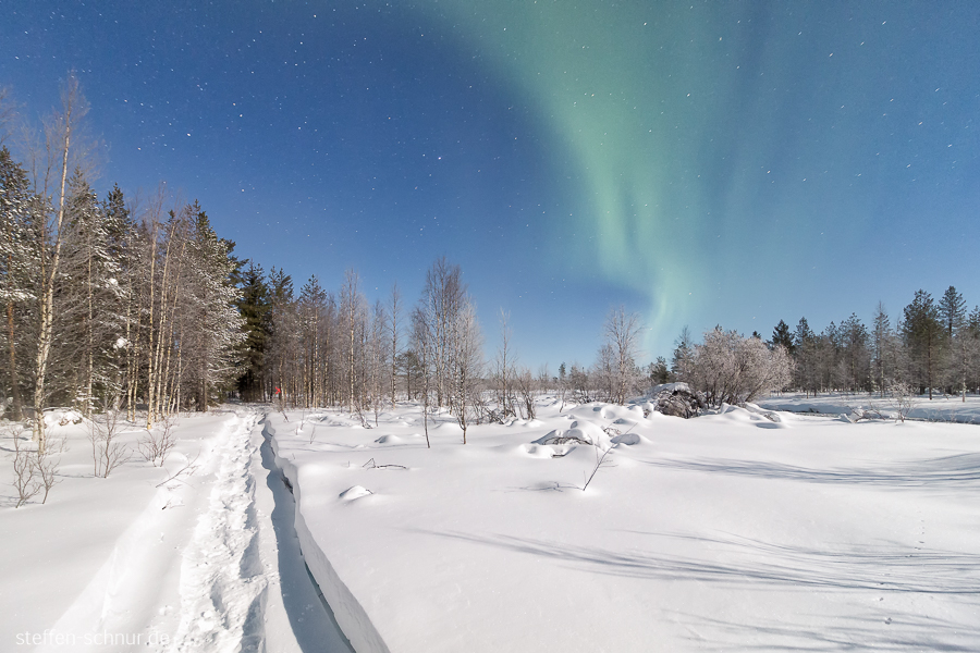 aurora borealis
 snow
 Lapland
 Finland
 forest
 way
 winter
