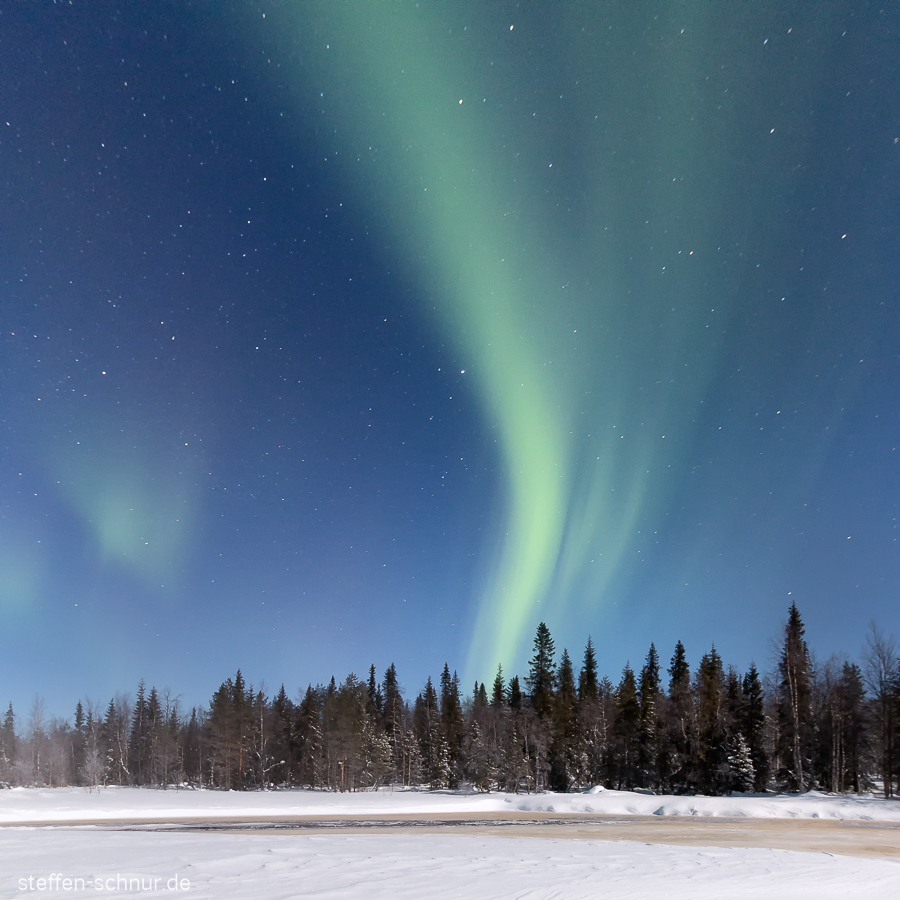 aurora borealis
 Lapland
 Finland
 night
 forest
 winter
