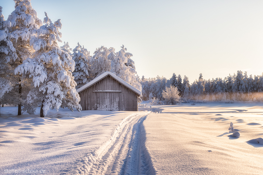 snow
 Lapland
 Finland
 cottage
 sunshine
 forest
 way
