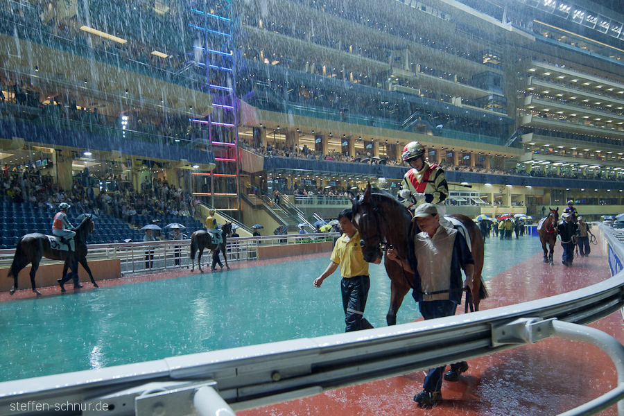 horse race
 Happy Valley
 Wan Chai
 Hong Kong
 China
 people
 horse
