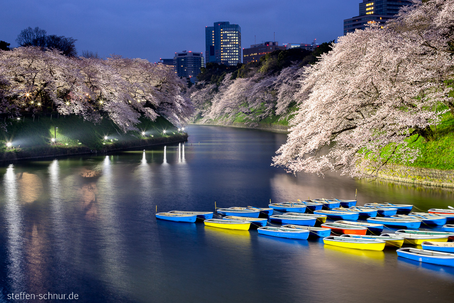 Tokyo
 Japan
 boats
 Trees
 nature
