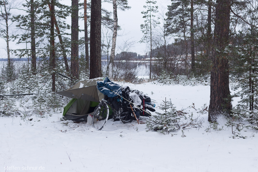bike
 Sweden
 Trees
 winter
 camping
