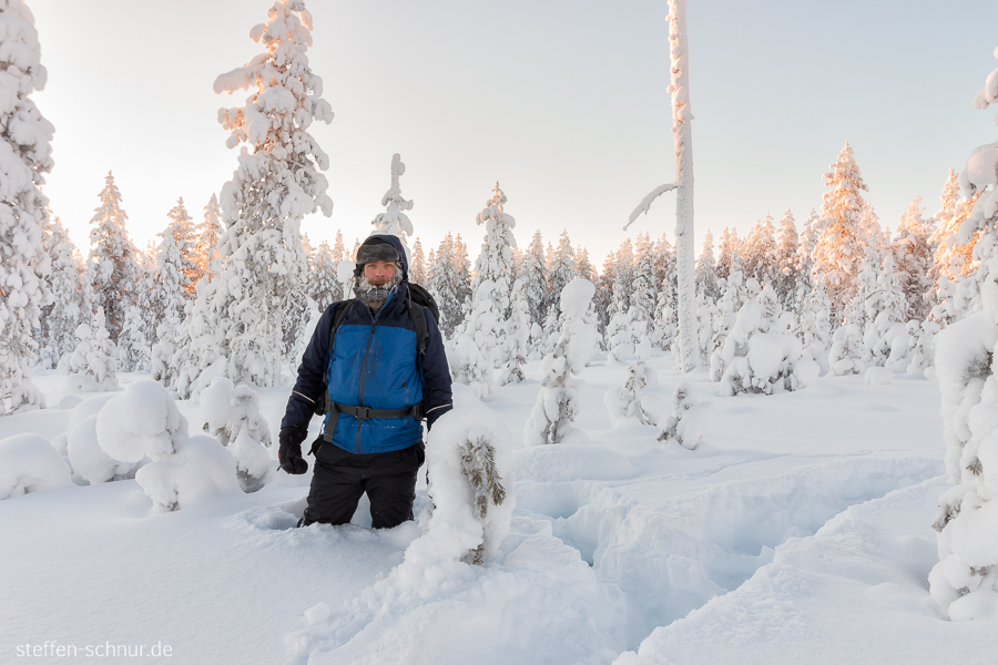 snow
 Finland
 forest
 winter
