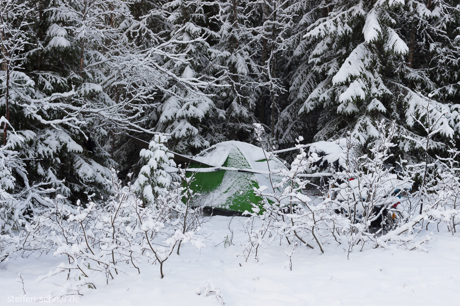 snow
 Sweden
 winter
 camping
