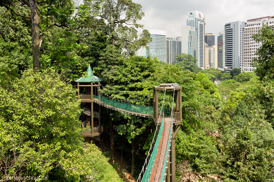 Kuala Lumpur
 Malaysia
 Bridge
 Trees
 metropolis
 skyscrapers
 nature
