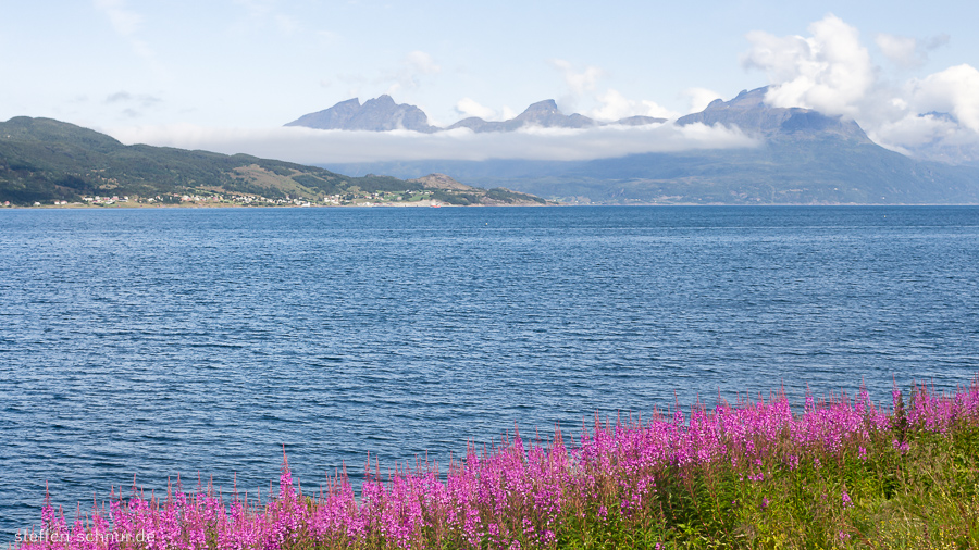 mountains
 flowers
 sea
 Norway
 clouds
