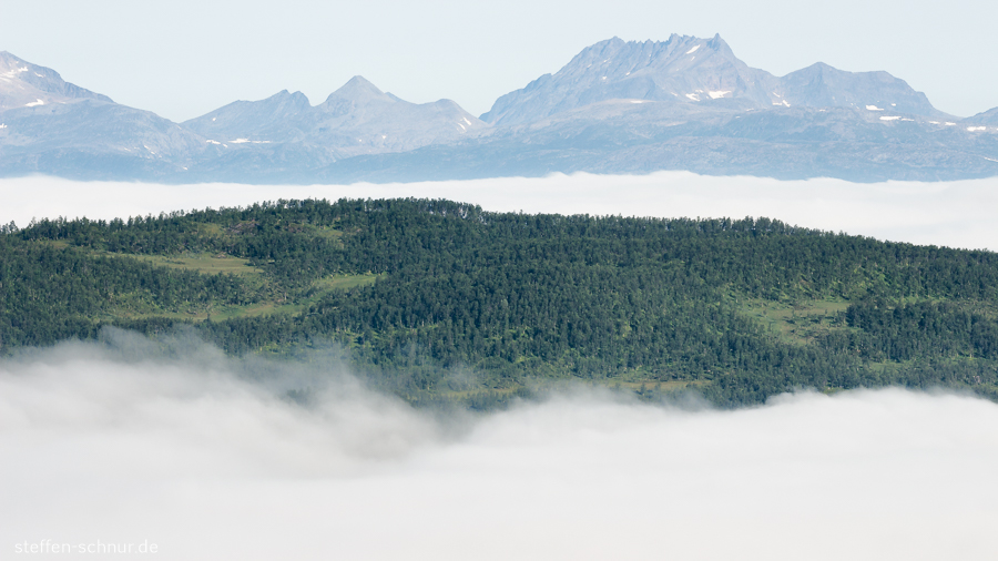 mountains
 aerial photograph
 fog
 Norway
 forest
