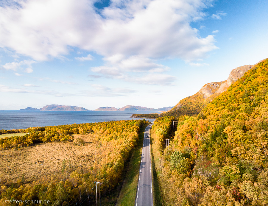 Nordland
 Trees
 autumn
 Norway
 street
 from above
