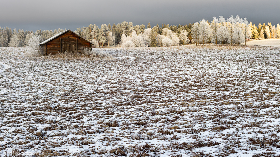 Sweden
 field
 cottage
 winter
