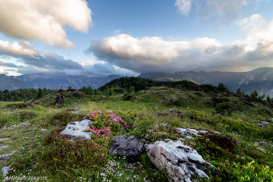 Slovenia
 Mountain landscape
 rock
 plant
 clouds
