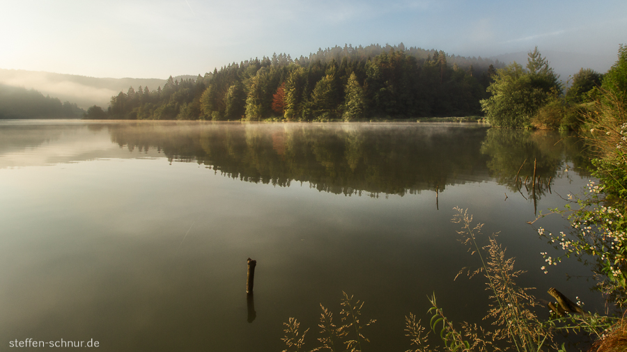 Slovenia
 Trees
 landscape
 reflection
 lake
 Reflector
 forest
