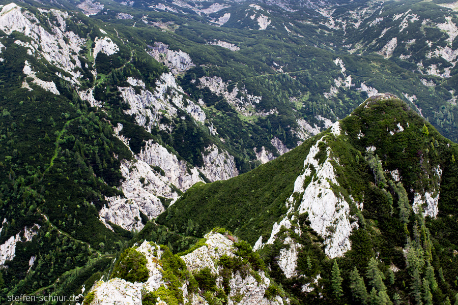 Slovenia
 mountains
 forest
 way
