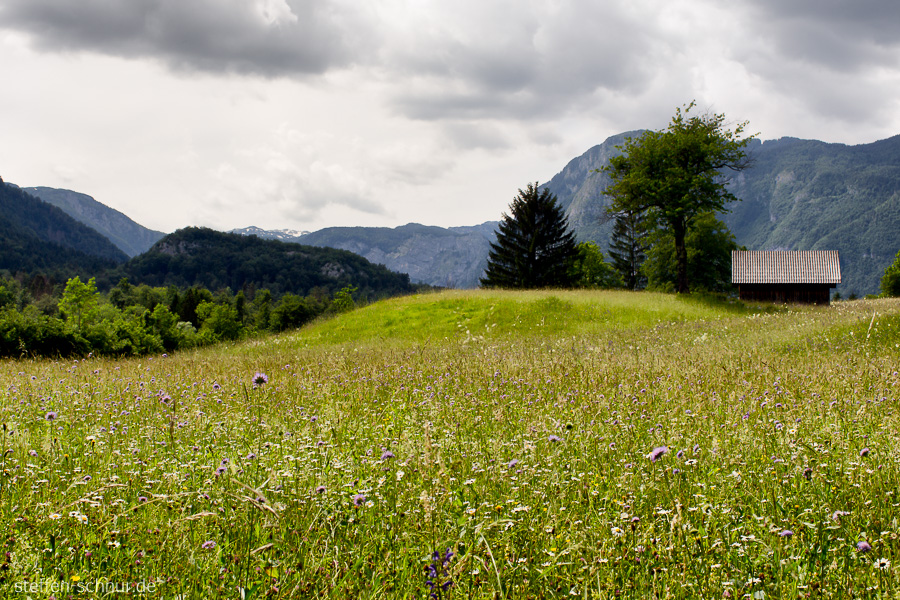 Slovenia
 house
 meadow
